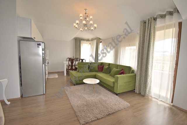 Apartament 2+1 me qira ne rrugen Memo Bejko shume prane Liqenit Artificial dhe Parkut te Madh.
Esht